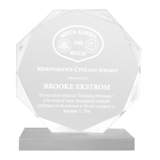 Octagon Acrylic Police Award Octagon Acrylic Police Award