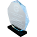 Octagon Acrylic Police Award Octagon Acrylic Police Award
