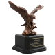 Eagle Award Eagle Award