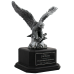 Eagle Award Eagle Award