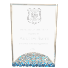 Blue Globe Police Award Blue Globe Police Award