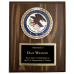 8"x10" Department of Justice Plaque 8"x10" Department of Justice Plaque
