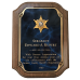 Full Plate Police Badge Plaque 