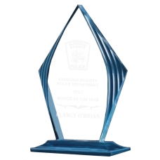 Accent Police Officer Award