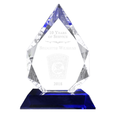 Blue Crystal Arrow Police Award 