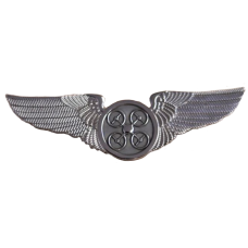 Drone Pilot Pin with Wings Drone Pilot Pin with Wings